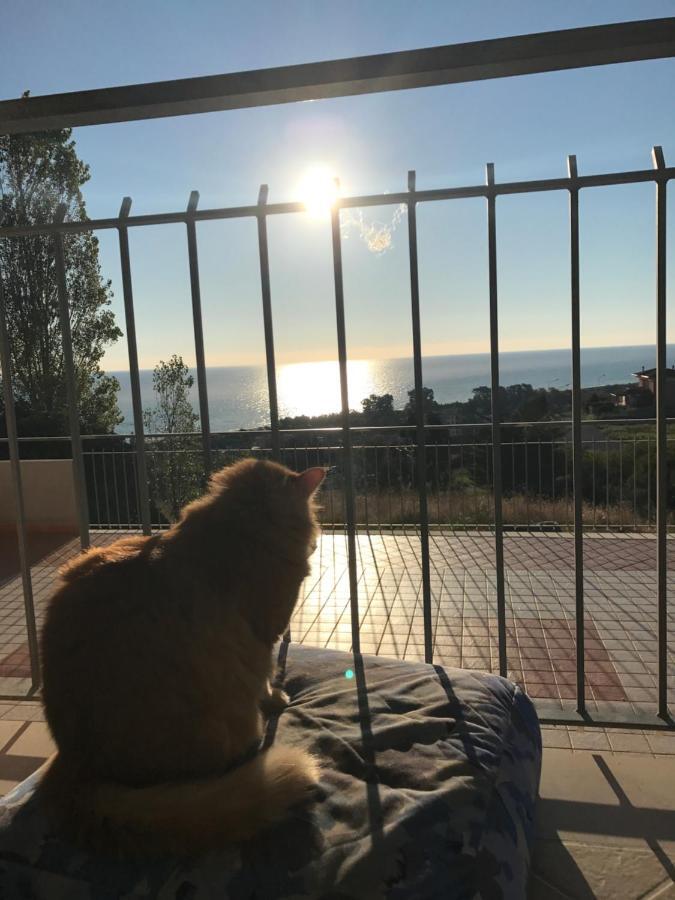 Luna Apartaments Badolato Marina Εξωτερικό φωτογραφία